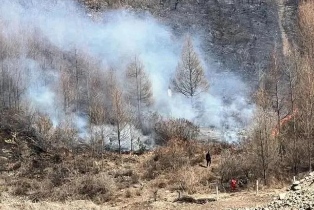 明火已撲滅，初步判斷由祭祀用火引發！今年已發生多起