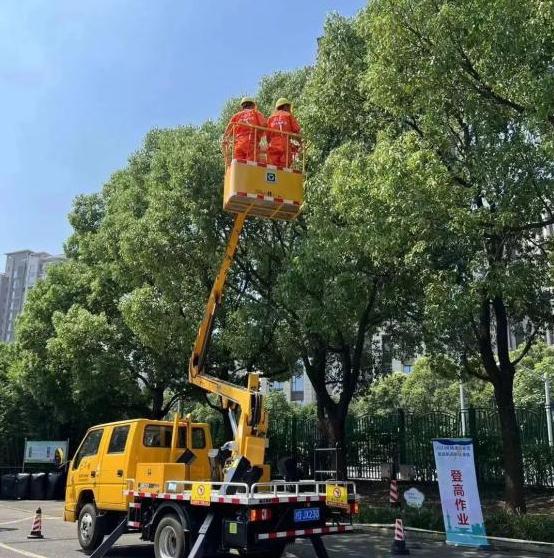 實戰演練，筑牢防汛防臺安全底線